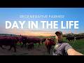 Day in the Life of a Farmer (cattle, pigs, poultry)