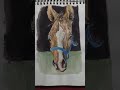 Watercolours horse portrait  horse portrait  watercolours paintingmeghasarts brustrosketching