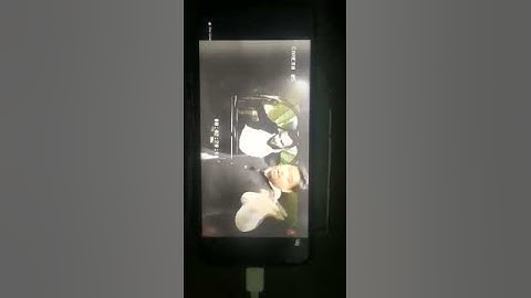 Mayank Sir Dancing Video | ☺️😍 | mjs | Mjs Defence Academy | #shorts #mjs #ytshorts #bbr #mathguru