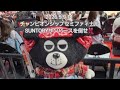 ウルフドッグス名古屋 優勝🏆するドー‼️👍️2026.5.9-11チャンピオンシップ😃