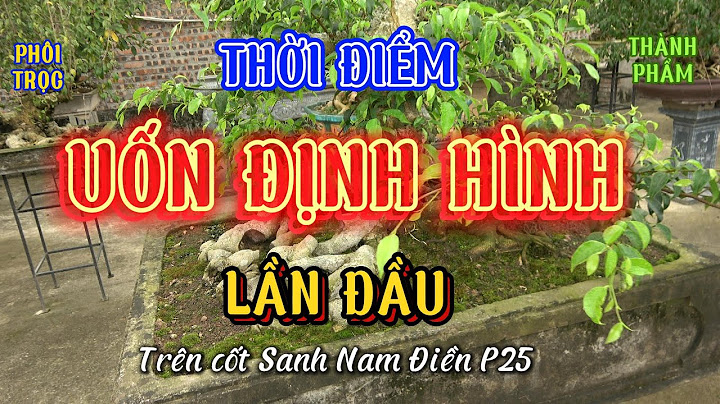 Kéo búa bao tiếng anh là gì năm 2024