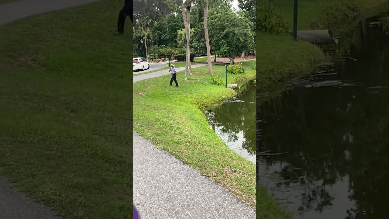 Caught On Camera Alligator Charges At Fisherman