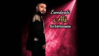 Sizi Gidi Kıskançlar - Esendereli Ali .Feat Münir Doğanay (Official Lyric Video) Resimi