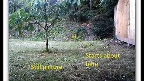 Mystery object caught on camera. Any ideas?