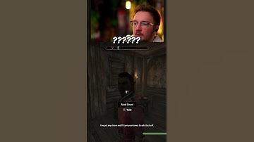 Most Normal NPC Interaction...