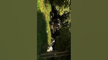 Serene Forest  #nature #car #forest #forestsounds #blender #blender3d #animation #abandoned