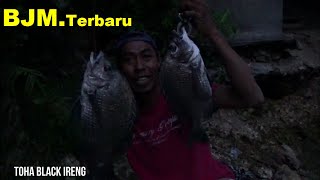 {TERBARU}.HASIL MANCING DI BAWAH JEMBATAN BAJULMATI MALANG SELATAN.