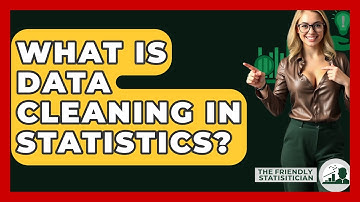 What Is Data Cleaning In Statistics? - The Friendly Statistician