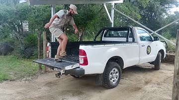 For older participants wanting to join our Wildlife Conservation Experience programme