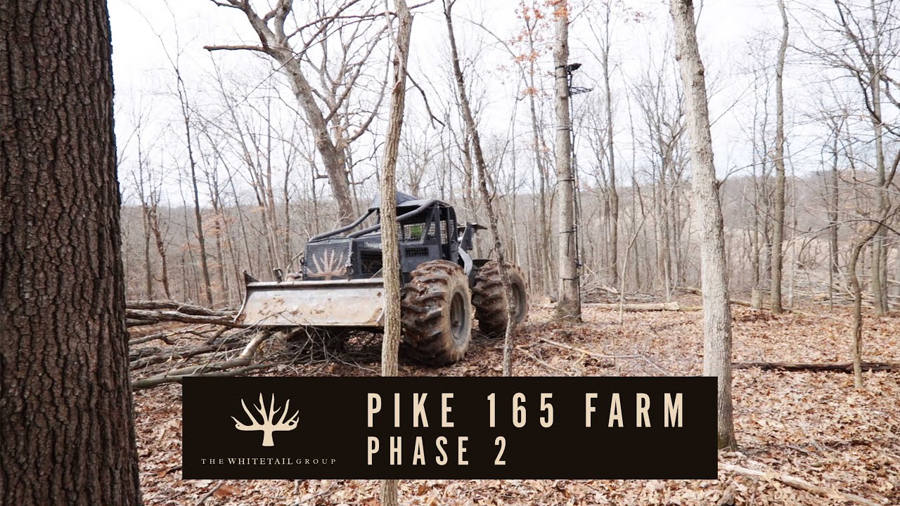 Building Deer Hunting Pinches On Our 165 Acre Project Farm In Pike County, IL (Phase 2)
