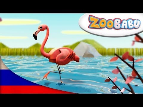 Video: Sov Zaub Xam Lav "Paj Yeeb Flamingo"