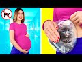 ペットを病院に忍び込ませる面白い方法 4Fun Challenge