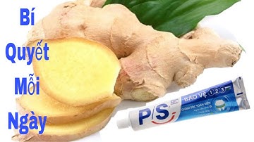 Kem Đánh Răng + Gừng , Bí Quyết Mỗi Ngày/ Giá Như Tôi Biết Công Dụng Của Nó Sớm Hơn