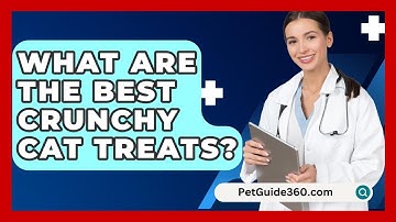 What Are The Best Crunchy Cat Treats? - PetGuide360.com