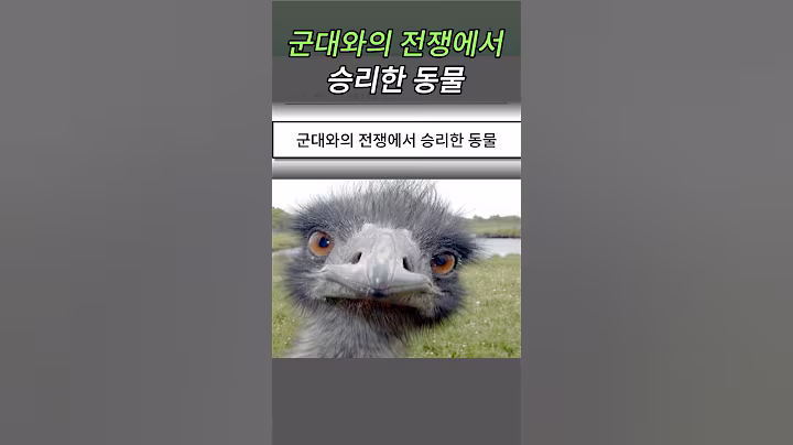 군대와 전쟁해 승리한 동물