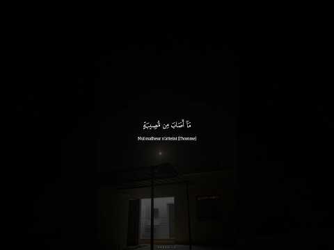 Sourate At Taghabun