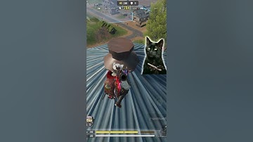 Meow went hunting for lunch 🥙😸 #codmobile #callofdutymobile #codm 