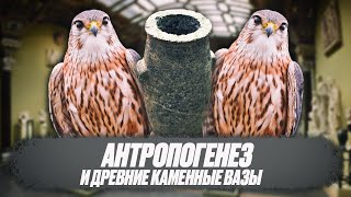 Обзор ролика &quot;Антропогенеза&quot; - Что внутри древнеегипетских ваз