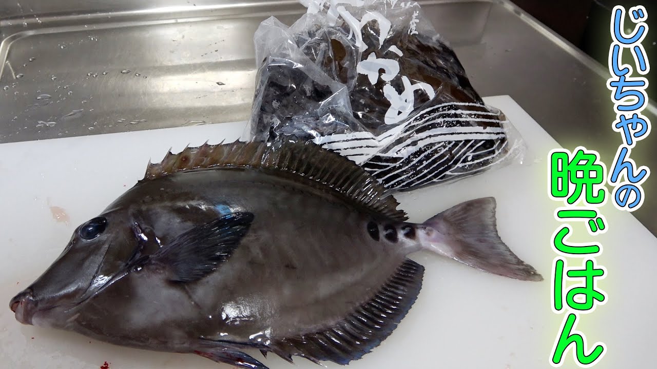 お魚 タチウオ 00056-D おさかなマグネット 1個 カワチ 【通販モノタロウ】