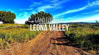 Land for Sale | 116 Acres of Prime Los Angeles County Land in the Charming Leona Valley Land for Sale | 116 Acres of Prime Los Angeles County Land in the Charming Leona Valley
