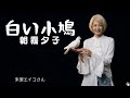 白い小鳩 / 朝霧夕子 朱里エイコさん