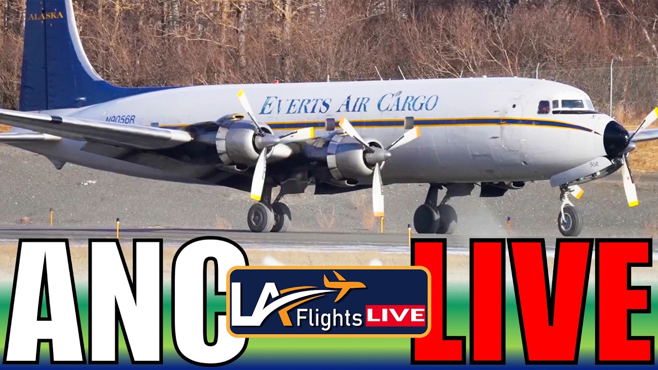 🔴LIVE NOW AT LOS ANGELES INTERNATIONAL AIRPORT! live camera thumbnail