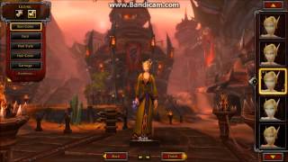 HEROES OF WOW *PRIVATE SERVER  raises check