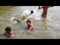 Download lagu Children in a pool at India Gate Beat the heat in slow motion mp3