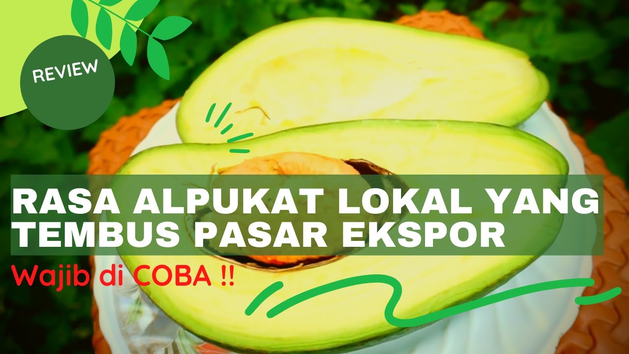 ✔Wow..❗Begini rasa Alpukat PAMELING [Review]