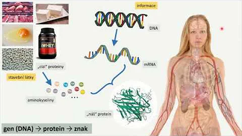 Jaké jsou příčiny genetických poruch u dětí?