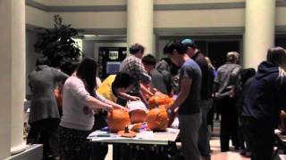 Buddy Program