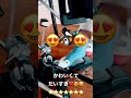 バスドラ練習がくつ下でかわいくなりました😍😍😍🥁🥁🥁🔥🔥🔥🌈🌈🌈🐧🐧🐧