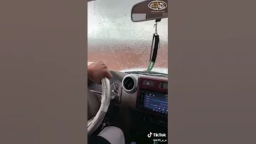 الشص مركب شيوخ 