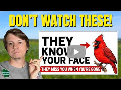 AI Bird Videos Are Ruining YouTube!