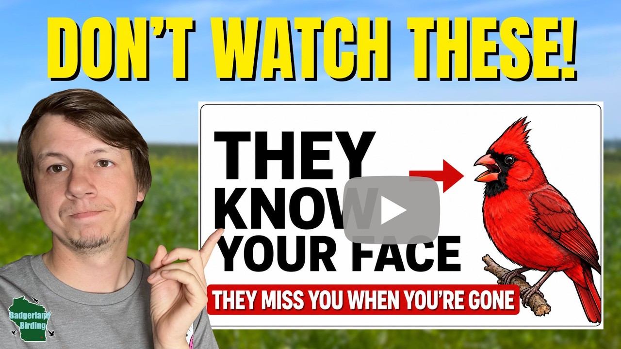 AI Bird Videos Are Ruining YouTube!