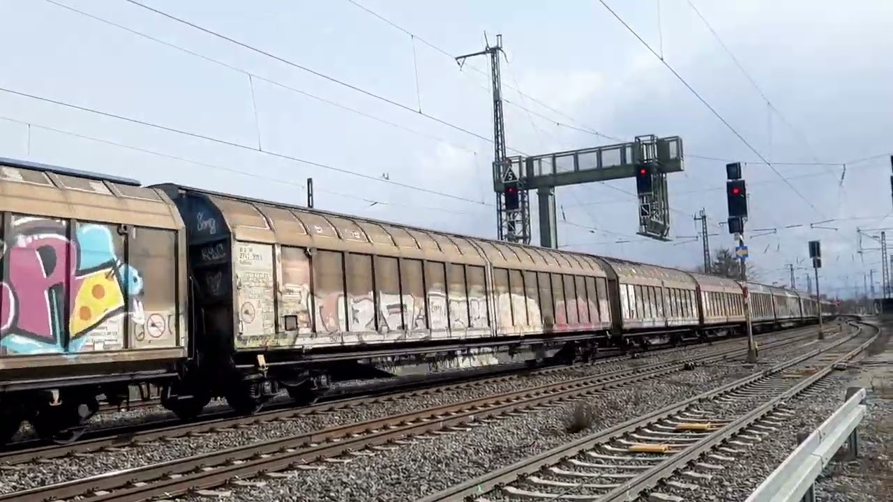 Hector 241 (BR 185) mit Schiebewandwagen nach Norden