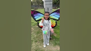 Thumbnail of amaira ka butterfly song🦋🦋#amairagurjar #shorts
