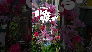 Side quest: Brunch with a DJ in Kuala Lumpur