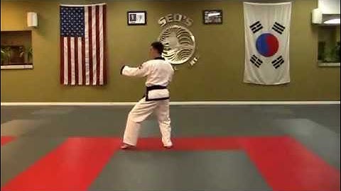 Pyung Ahn 2 - Front View - By the Count