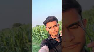 Ya kay ho gaya #viralindia #hindireels #desireels #trendingreels #meerut #upreels #indiancreator
