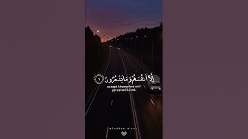سوره البقره ✨️