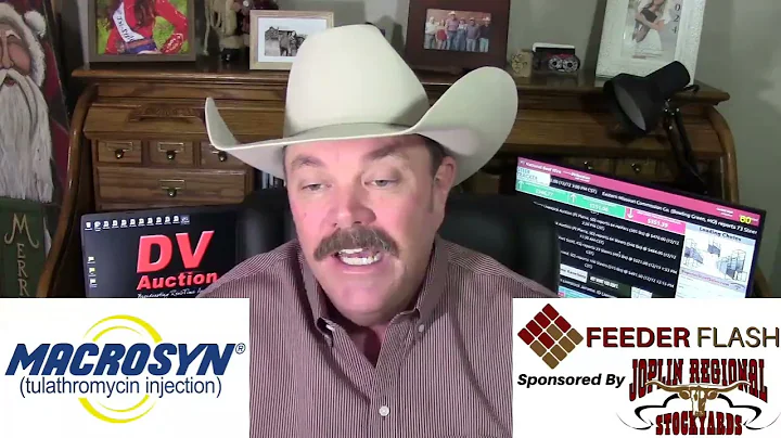 Feeder Flash 12/15:  Last Chance