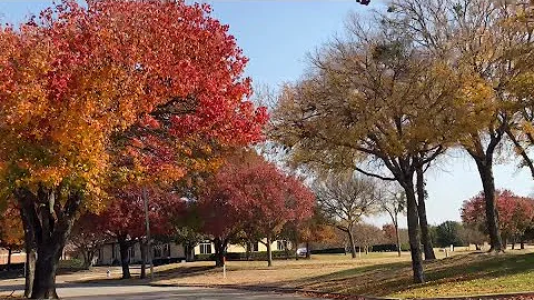 Fall foliage in Mckinney (Virginia prwy)