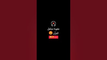 #رمضانمبارك   ❣️❣️❣️||#اجر_لي_ولك  #القرآن_الكريم #تلاوة_خاشعة #ماهر_المعيقلي #اكسبلور