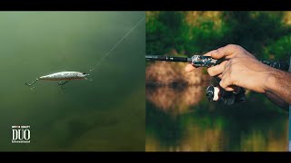 Lure Masterclass: Realis Jerkbait 100SP - How To