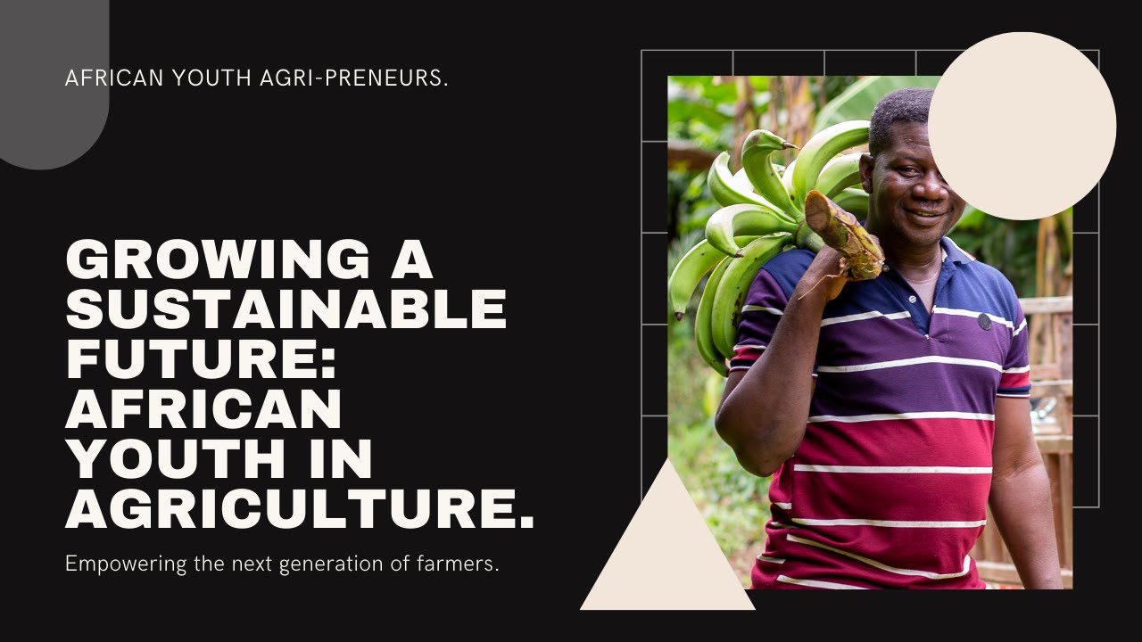 Growing a Sustainable Future: African Youth In Agriculture - YouTube