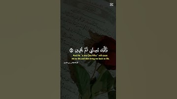 🤲 الذي فطرني فهو يهدين تلاوة خاشعة من الذكر الحكيم #cute #دويتو #duet #لايك