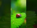 Прояви же красивое терпение #reels #quran