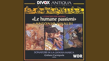 Concerto for Strings in G Minor, RV 153: II. Andante