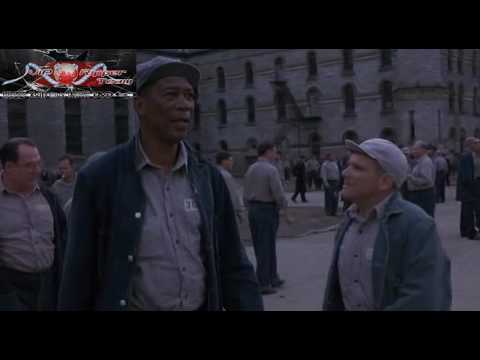 free program rapidshare skazani na shawshank free program rapidshare skazani na shawshank